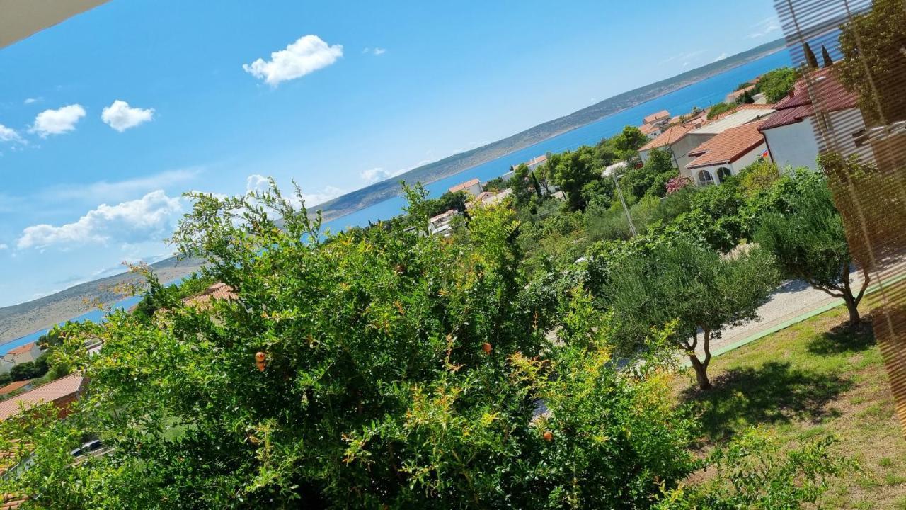 Arts Room Jasmina With Sea View Bikers And Pets Are Welcome Starigrad Paklenica Eksteriør billede